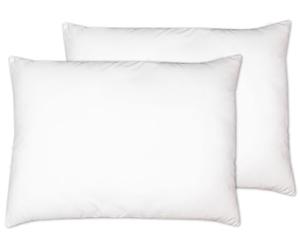 ZOLLNER Set de 2 oreillers - Made in Germany - Remplissage Polyester - Housse en Polyester de Haute qualité - Lavable jusqu'à 60°C - 50x70 cm - Qualité hôtel - Certifié Oeko Tex®