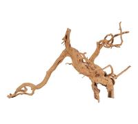 ZOLUX-Décoration naturelle pour aquarium et terrarium coloris marron Zolux racine araignée - 50 à 60 cm