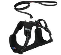Zolux Harnais Clip and Go pour Chien avec Laisse 2m - Taille L -Noir - Chien 28-45 kg - Attache Magnétique Ultra Rapide et Sécurisée - Bandes Réfléchissantes - Boucles Latérales - Tissu Respirant