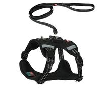 Zolux Harnais Clip and Go pour Chien avec Laisse 2m - Taille S -Noir - Chien 8-16 kg - Attache Magnétique Ultra Rapide et Sécurisée - Bandes Réfléchissantes - Boucles Latérales - Tissu Respirant