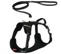 Zolux Harnais Clip and Go pour Chien avec Laisse 2m - Taille XL - Noir - Chien 38-45 kg - Attache Magnétique Ultra Rapide et Sécurisée - Bandes Réfléchissantes - Boucles Latérales - Tissu Respirant