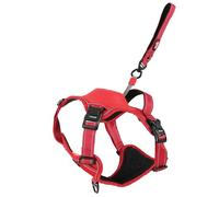 Zolux Harnais Easy Ride avec Laisse Intégrée 1,30 m avec Enrouleur -Taille L - Rouge - Chien 33-55 kg - Bandes Réfléchissantes - Système Stop - Boucles Rapides - Réglable -Tissu Confort Respirant