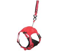 Zolux Harnais Easy Ride avec Laisse Intégrée 1,30 m avec Enrouleur -Taille S - Rouge - Chien 5-12 kg - Bandes Réfléchissantes - Système Stop - Boucles Rapides - Réglable -Tissu Confort Respirant