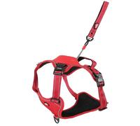 Zolux Harnais Easy Ride avec Laisse Intégrée 1,30 m avec Enrouleur -Taille XL - Rouge - Chien 55-77 kg - Bandes Réfléchissantes - Système Stop - Boucles Rapides - Réglable -Tissu Confort Respirant