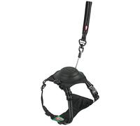 Zolux Harnais Easy Ride chien XS 3–9 kg Noir avec laisse intégrée 1,30 m - Réfléchissant