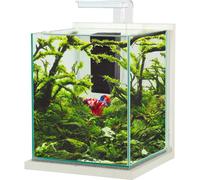 ZOLUX-Kit aquarium Jalaya XL coloris ceruse blanc Zolux - 25 x 25 x 30 cm