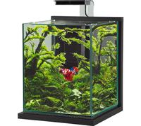 ZOLUX-Kit aquarium Jalaya XL coloris gris anthracite Zolux - 25 x 25 x 30 cm