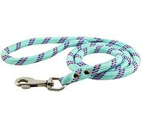Zolux Laisse en Nylon Corde pour Chien Turquoise 1,20 m 13 mm