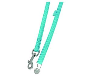 Zolux Mac Leather Laisse pour Chien Turquoise 20 mm