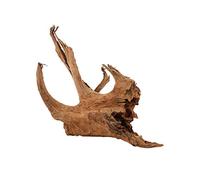 Zolux Mangrove Racine pour Aquariophilie 15/25 cm