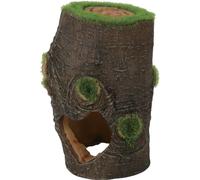 Zolux OrnamentReproduction de croissance de souche d'arbre