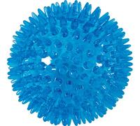 ZOLUX - Jouet TPR Pop Boule à pointes Turquoise - 8 cm