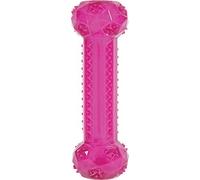 Zolux Pop Jouet Stick pour Chien Framboise 5 x 5,5 x 15,8 cm