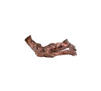 ZOLUX-Racine Mangrove en bois naturel marron taille S 15/25 cm
