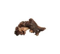 ZOLUX-Racine Maupani en bois naturel marron taille S 17,5x10x4 cm