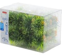 ZOLUX Set de 24 plantes en gazon synthétique Idro - Pour aquarium