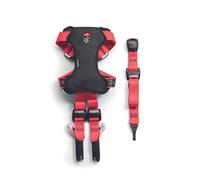 Zolux Travel Safe Harnais de Sécurité Auto pour Chien M - Rouge - Chiens 8-25kg - Ajustable - ISOFIX + Top Tether - Crash-Testé - Ajustable 5 Points - Lavable à 30°C - Marque Française