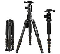 ZOMEI Z699C Trépied Portable en Fibre de Carbone avec Rotule Compacte Voyage pour Canon, Sony, Nikon, Samsung, Panasonic, Olympus, Kodak, Fuji, Caméras et Caméscope