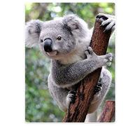 Zomer Couverture douillette Koala - 125 x 150 cm - Gris - Moelleuse - En microfibre polaire - Douce et chaude