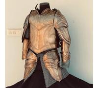 Zomitiya Armure elfique médiévale cuirasse Larp Elfe Costume portable LOTR Demi-corps Armure