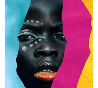 Village Cuts - Zone 6, Remixed EP (Vinyl)