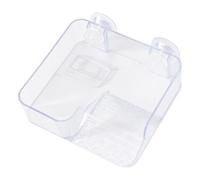 Zone De Baignade Pour Tortue Aquarium Plan Incliné Transparent Avec