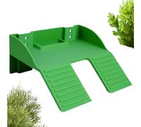 Zone de lézardage pour Tortue avec Porte-Manger, Rampe, déco Aqua