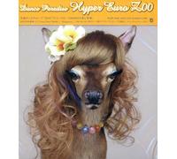 Zoo - Dance Paradise Hyper Euro