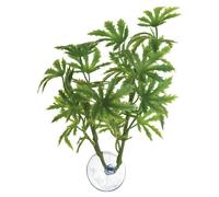 Plante papaye pour aquarium Zoomed Betta BP21 Vert TU