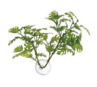 Zoo Med Betta Plante Window Leaf pour Reptile/Amphibien Multicolore 26311 Taille Unique