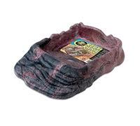 ZOOMED Abreuvoir avec rampe d'accès - L - Pour reptile et amphibien