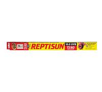 Zoo Med Reptisun 10.0 T5ho UVB Lampe pour Reptile 24 W
