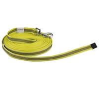 zoofari® Laisse ou Collier avec laisse pour chien (longe)