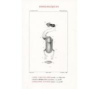Zoologiques - Eric Chevillard - Fata Morgana - broché - Roman