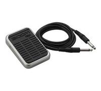 Zoom FS-01 Controleur Au Pied Footswitch - controleurs