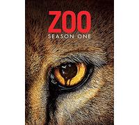 Zoom : The First Season - Zoom : The First Season (4 DVD)