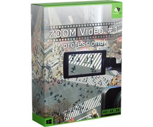 ZOOM Video #1 professional