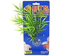 Zoomed Betta Plant Bamboo