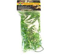 Zoo Med Plante Plastique Cannabis Moyenne 55 Cm