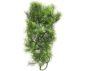 Zoomed Cashuarina Plante Plastique pour Terrarium Taille M