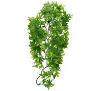 Zoo Med Congo Ivy Plante Plastique pour Terrarium Taille M Multicolore M (Lot de 1)