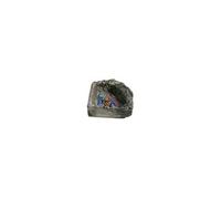zoomed gamelle d'angle - s - pour reptile