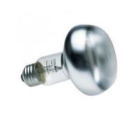 ZOOMED Lampe chauffante - Pour terrarium - 150 W