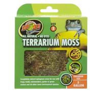 Zoomed - Mousse Terrarium Moss Pour Terrarium - S