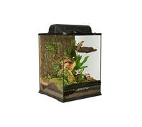Zoomed - Terrarium Naturalistic