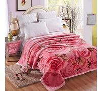 Zoomlie Couverture en fibre de polyester 100% Raschel en peluche épaisse - Couverture double couche chaude et moelleuse pour chambre à coucher, salon, hiver - Lit simple ou double (Style 5, 150 * 200