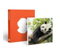 Zooparc De Beauval 2027 : Entrée 1 Enfant (1 Journée) - Smartbox - Coffret Cadeau Multi-Thèmes