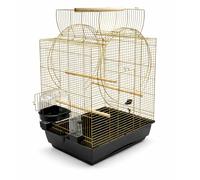 Zoopaul Cage à oiseaux XXL Emma Cabrio noire et dorée pour perruches, canaris avec tube à boire, cabane de bain, etc.