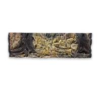ZooPaul Décor de fond d'aquarium 3D 150 x 50 cm - Fond de terrarium - Rocher, roche, racine, structure Amazonas