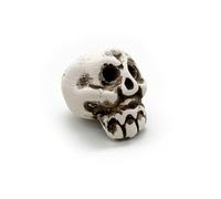 ZooPaul Décoration en céramique pour aquarium, terrarium, tête de mort, petit, idéal pour nano bassin